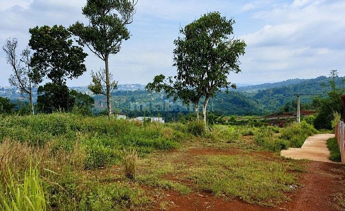 1.000m² đất vườn đẹp – Xã Gia Kiệm, Đồng Nai – Chỉ 900 triệu