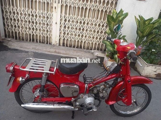 Honda Cup 50 Đỏ