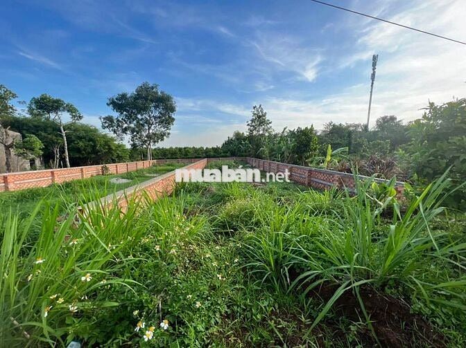 KẸT TIỀN BÁN ĐẤT NỀN GẦN SÂN BAY LONG THÀNH