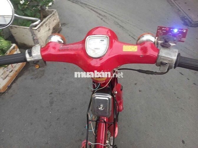 Honda Cup 50 Đỏ