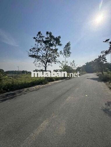 THANH LÝ ĐẤT BÌNH CHÁNH GIÁ TỐT