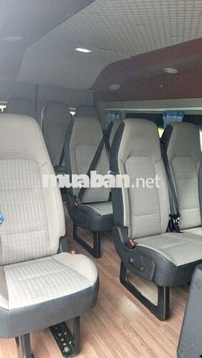 Ford Transit Luxury 2018 16 chỗ Vàng cát