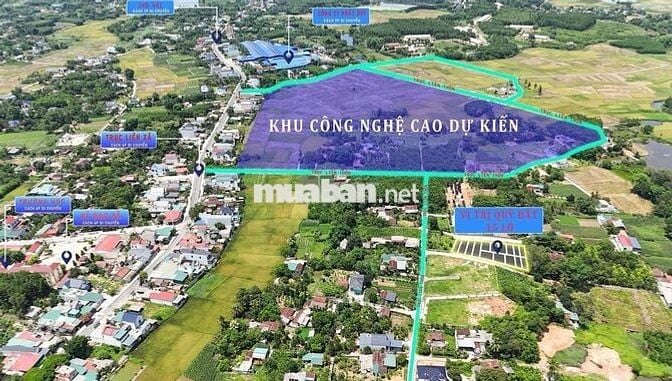Bán đất nền tại Triệu Sơn, Thanh Hóa 