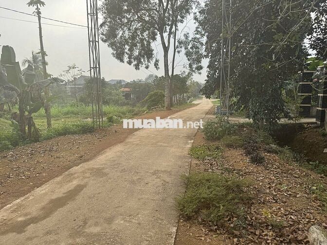 Bán đất nền cực chất tại Thọ Bình, Thanh Hóa 