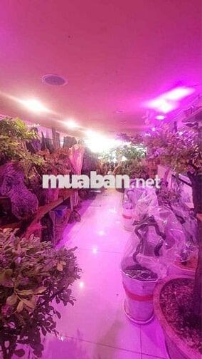 GIẢM SÂU 2TỶ CHỦ CẦN BÁN GẤP MẶT TIỀN KINH DOANH NGAY PHÚ NHUẬN