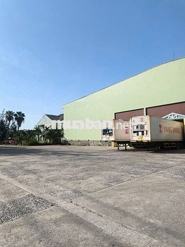CÔNG TY THUỶ SẢN THUẬN PHƯỚC TUYỂN DỤNG LĐPT