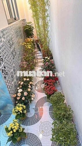 🏡 BẠCH ĐẰNG,NGÃ TƯ HÀNG XANH BÌNH THẠNH •4