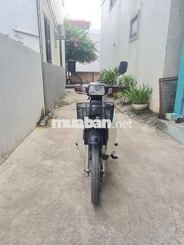 Honda Dream Việt Nâu, Trắng