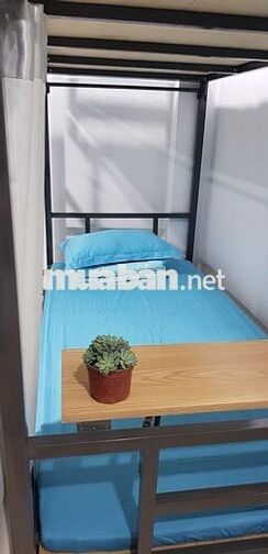 Giường Nam Sinh Viên tại Số 2/2K Nguyễn Thị Minh Khai