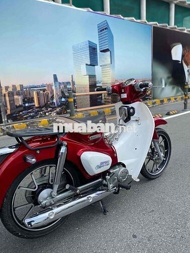 Detech Cub 50cc 2025 Đỏ Trắng Smartkey ABS