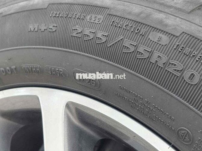 Ford Everest Titanium 4x4 2025 Trắng 48.xxx km
