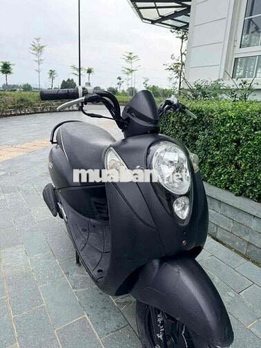 SYM Elite 50 2020 Đen nhám