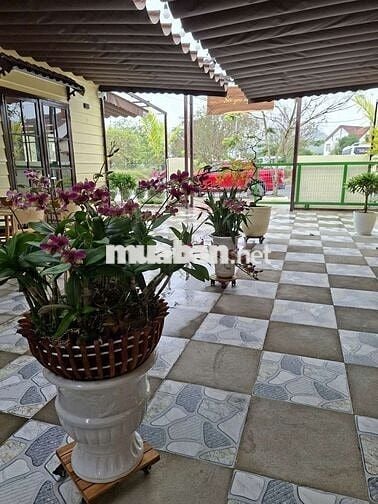 🇻🇳 CHO THUÊ CĂN HỘ CAO CẤP - PHÚ MỸ AN - CÓ SÂN VƯỜN