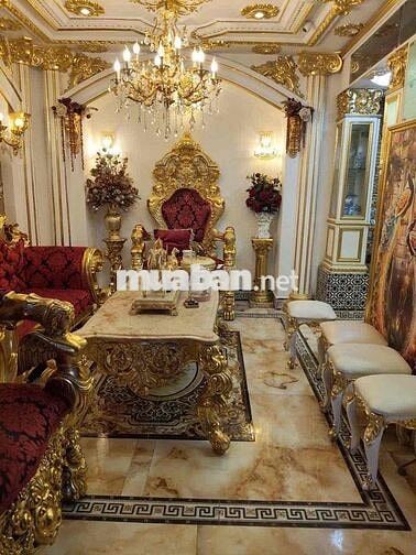 Chính chủ e cần cho thuê nhà Nguyên căn biệt thự dát vàng Q7  Vị trí l