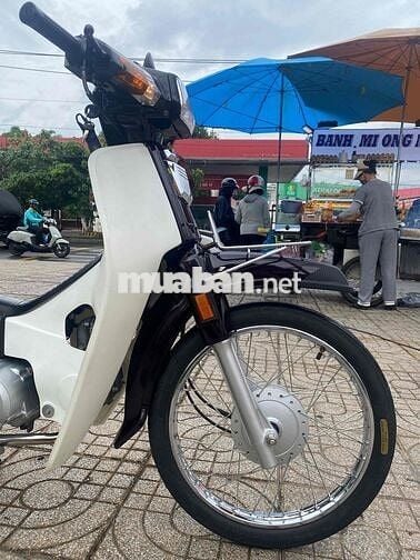 Honda Super Dream 2006 Nâu Việt Nam