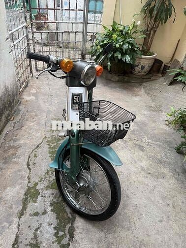 Honda Cub 50cc 1981 Xanh Trắng