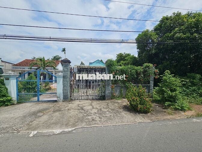 CHỦ KẸT TIỀN BÁN ĐẤT TẶNG NHÀ Ở CÂY TRÔM MỸ KHÁNH ,THÁI MỸ,CỦ CHI
