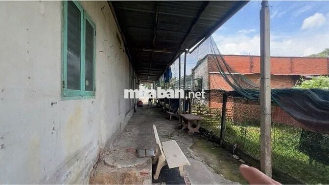 CHỦ KẸT TIỀN BÁN ĐẤT TẶNG NHÀ Ở CÂY TRÔM MỸ KHÁNH ,THÁI MỸ,CỦ CHI