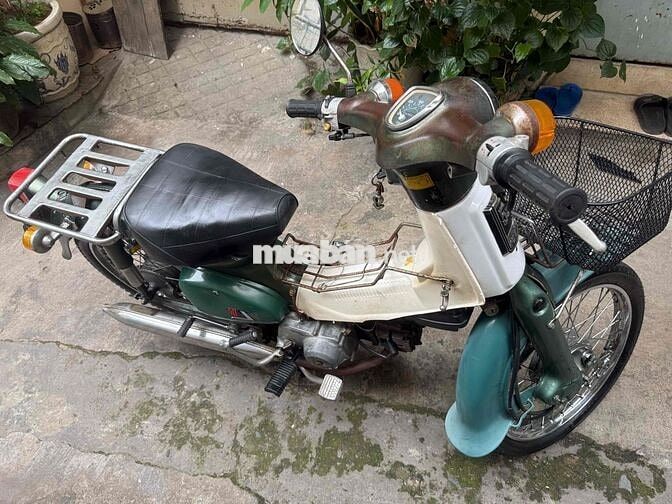 Honda Cub 50cc 1981 Xanh Trắng
