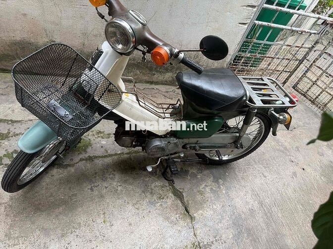 Honda Cub 50cc 1981 Xanh Trắng