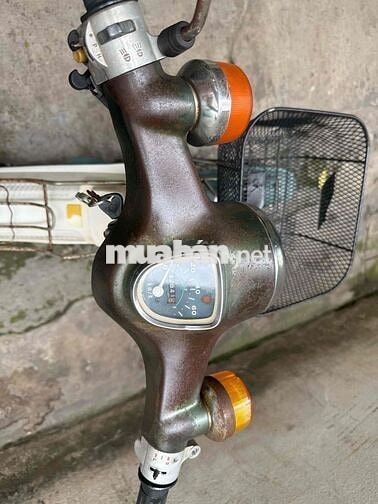 Honda Cub 50cc 1981 Xanh Trắng