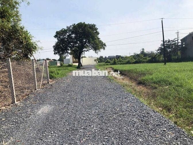 nhà đẹp tâm huyết đức hòa đông 