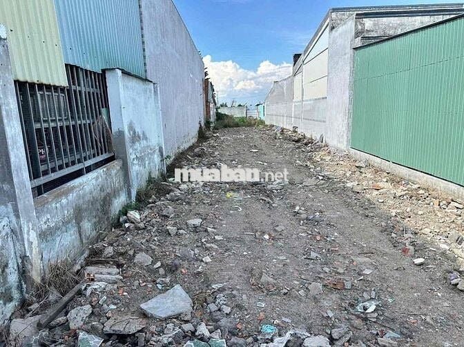 🌈 5x50m thổ đường liên ấp 2-3 Thạnh Đức, Bến Lức