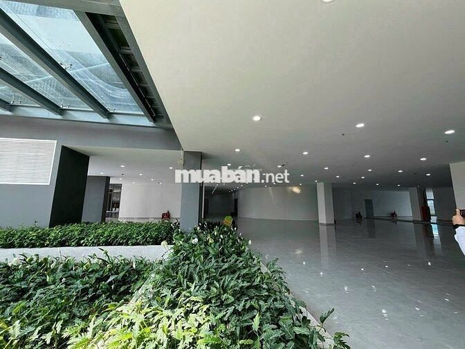 Cho thuê căn chung cư 1PN full nội thất gần Aeon Mall, VSip 1. giá 5tr