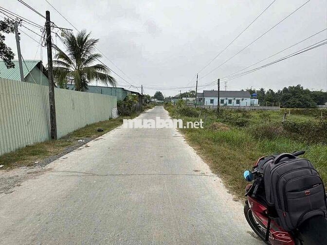 🌈 5x50m thổ đường liên ấp 2-3 Thạnh Đức, Bến Lức