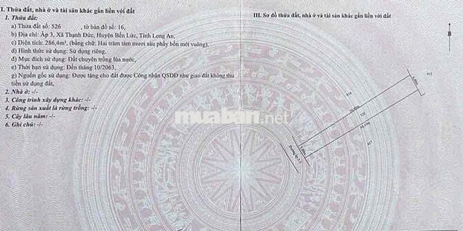 🌈 5x50m thổ đường liên ấp 2-3 Thạnh Đức, Bến Lức