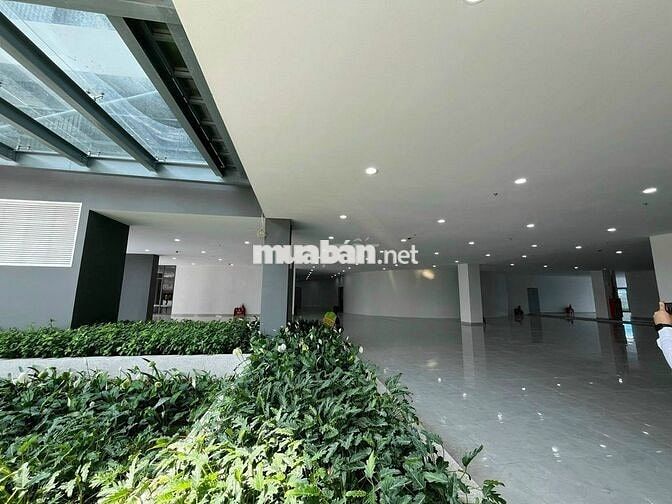 Cho thuê căn chung cư 1PN full nội thất gần Aeon Mall, VSip 1. giá 5tr