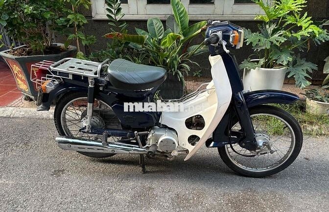Honda Cub 50