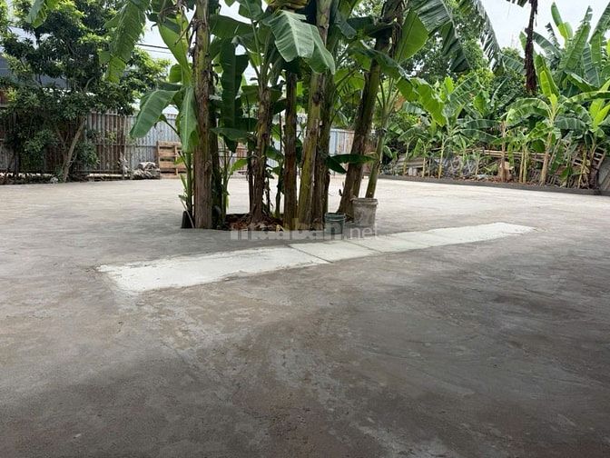 CHO THUÊ SÂN VƯỜN TẠI TÂN XUÂN, PHƯỜNG XUÂN ĐỈNH,HN,MIỄN QUẢNG CÁO GỌI