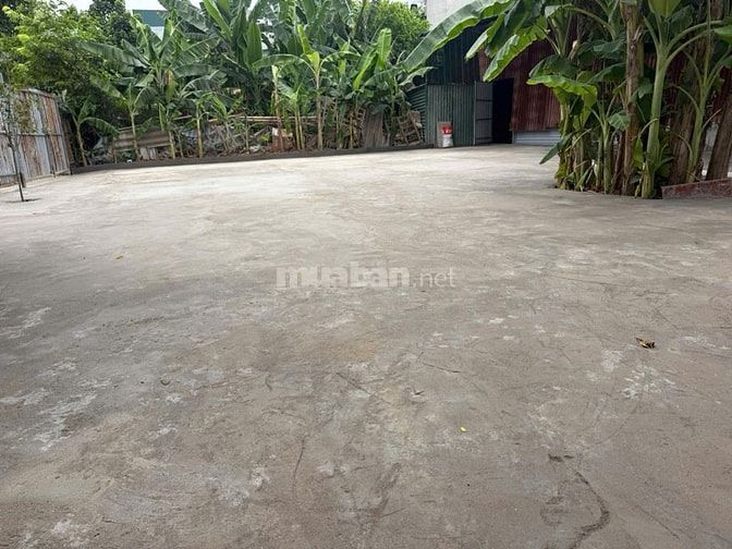CHO THUÊ SÂN VƯỜN TẠI TÂN XUÂN, PHƯỜNG XUÂN ĐỈNH,HN,MIỄN QUẢNG CÁO GỌI