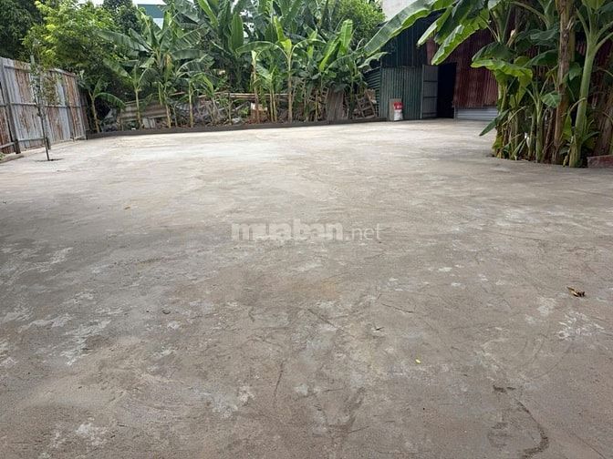 CHO THUÊ SÂN VƯỜN TẠI TÂN XUÂN, PHƯỜNG XUÂN ĐỈNH,HN,MIỄN QUẢNG CÁO GỌI