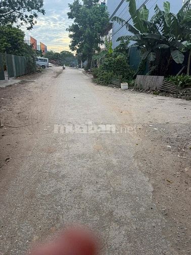CHO THUÊ SÂN VƯỜN TẠI TÂN XUÂN, PHƯỜNG XUÂN ĐỈNH,HN,MIỄN QUẢNG CÁO GỌI