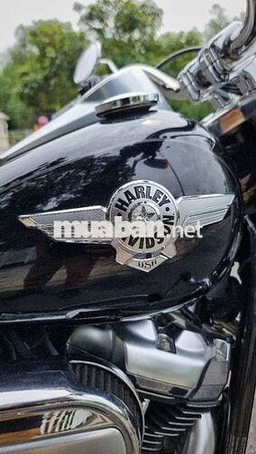 Harley-Davidson Fatboy 2020 Đen bóng M8 1868cc
