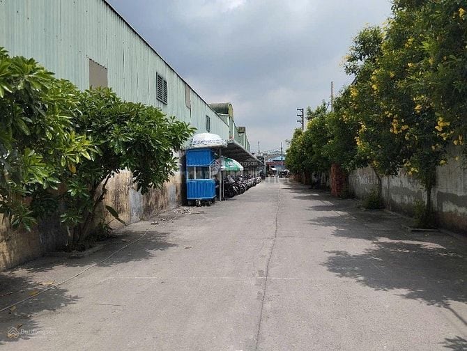 Kho xưởng cho thuê khu công nghiệp sóng thần , DT: 10,000m2