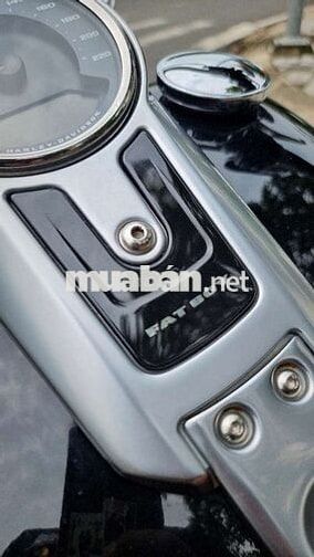 Harley-Davidson Fatboy 2020 Đen bóng M8 1868cc