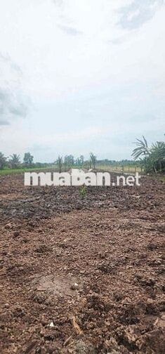 2950m2 đất vườn cặp kênh gần khu du lịch