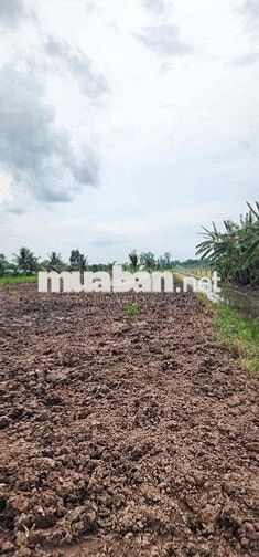2950m2 đất vườn cặp kênh gần khu du lịch