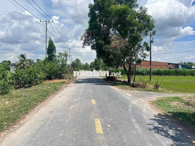 Đất thổ cư 20x19 ngộp ngân hàng bán gấp