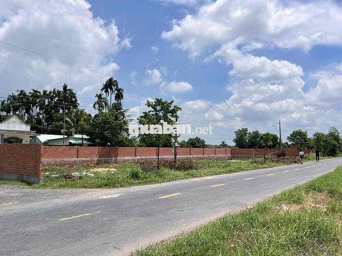 Đất thổ cư 20x19 ngộp ngân hàng bán gấp