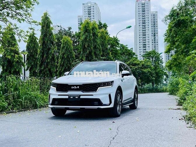 Kia Sorento Premium 2025 Trắng Tự động