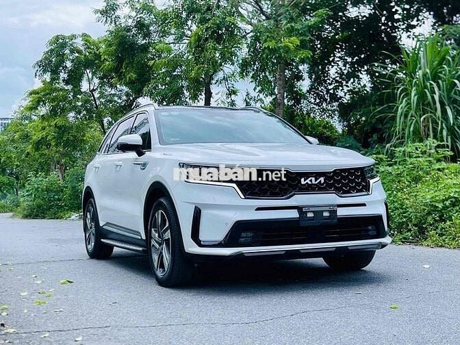 Kia Sorento Premium 2025 Trắng Tự động