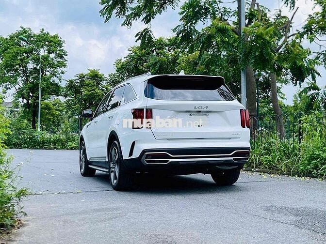 Kia Sorento Premium 2025 Trắng Tự động