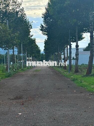 SIÊU PHẨM | ĐẤT ĐẸP GẦN KCN Sonadezi FULL THỔ CƯ TẠI KDC LAN ANH 5