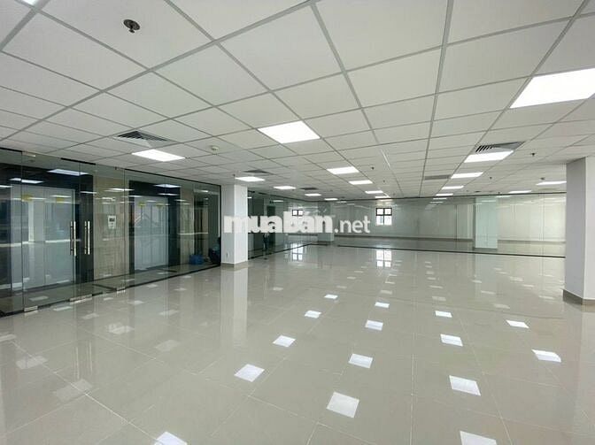 CHO THUÊ NHÀ ĐƯỜNG GÒ DẦU,TÂN PHÚ. DT 15X20M, HẦM 5 LẦU