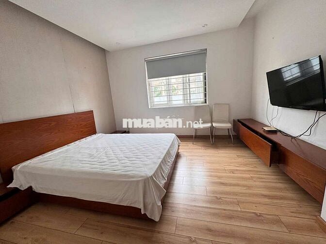 Cho thuê Biệt Thự Nam Quang 1 Phú Mỹ Hưng  Q7