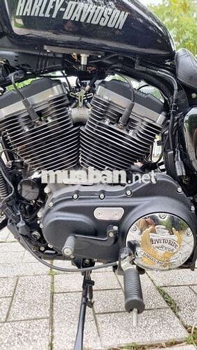 Harley-Davidson Roadster 1200 2016 Đen 3700 miles